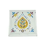 530025-1_bajot_meena-11499_2