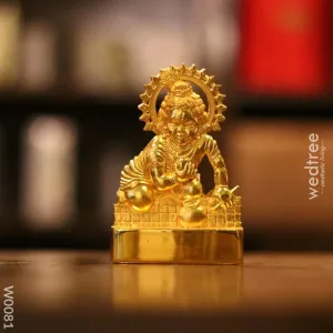 Murthi  -  Laddu Gopal Big