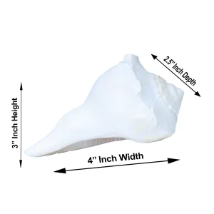 Right Hand Shankh-N - Arr