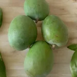 Raw mangoes suitable for pickles and thokku