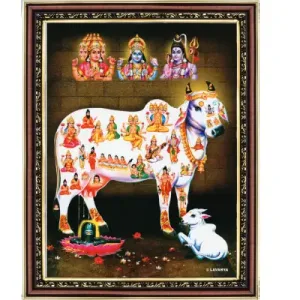 Kamadhenu Picture with wooden frame - 14 x 11 inches