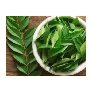 CURRY LEAVES 1 PACK - 25G