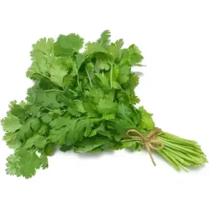CORIANDER LEAVES (1 BUNCH) - app 50g