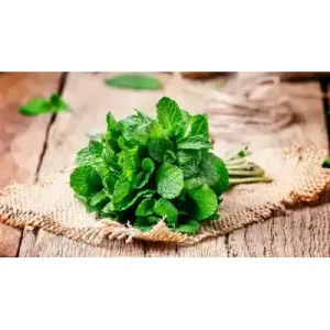 Fresh Mint Leaf / Pudina Bunch (1 bunch) - app 150g